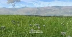 Fazenda Modelo à Venda 11.942 Hectares Liquidação Bancária na Pecuária | Sudoeste Goiano/ GO