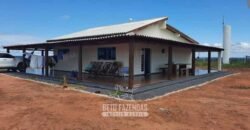 Fazenda à Venda 1.930 Hectares Potencial de Lavoura e Pecuária | Novo São Joaquim/ MT