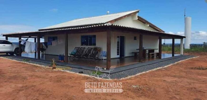 Fazenda à Venda 1.930 Hectares Potencial de Lavoura e Pecuária | Novo São Joaquim/ MT