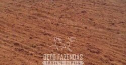 Fazenda à Venda 1.930 Hectares Potencial de Lavoura e Pecuária | Novo São Joaquim/ MT