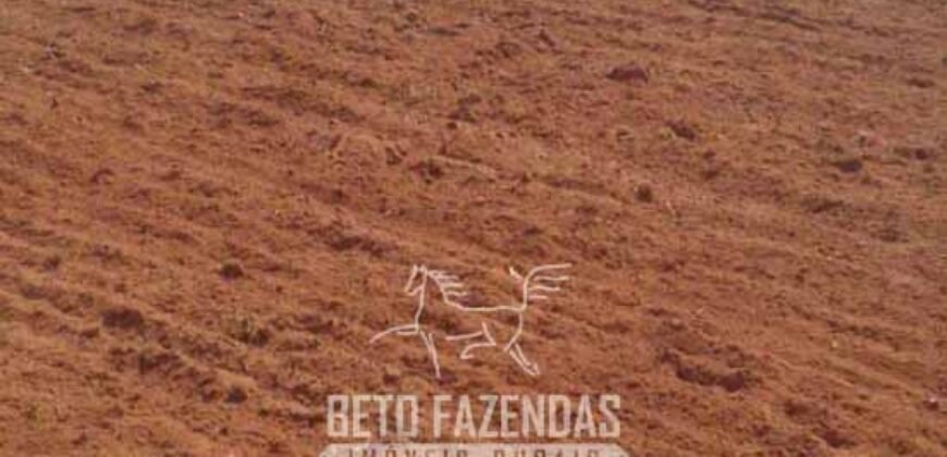 Fazenda à Venda 1.930 Hectares Potencial de Lavoura e Pecuária | Novo São Joaquim/ MT