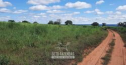 Fazenda à Venda 1.930 Hectares Potencial de Lavoura e Pecuária | Novo São Joaquim/ MT