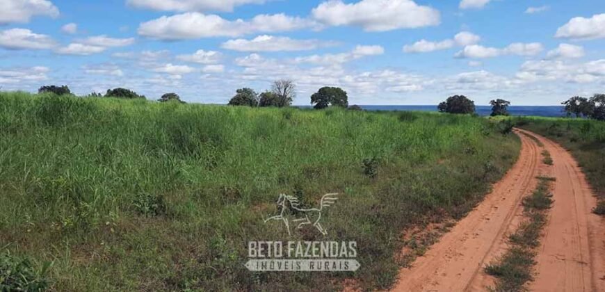 Fazenda à Venda 1.930 Hectares Potencial de Lavoura e Pecuária | Novo São Joaquim/ MT