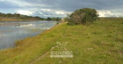 Fazenda à Venda 1.930 Hectares Potencial de Lavoura e Pecuária | Novo São Joaquim/ MT