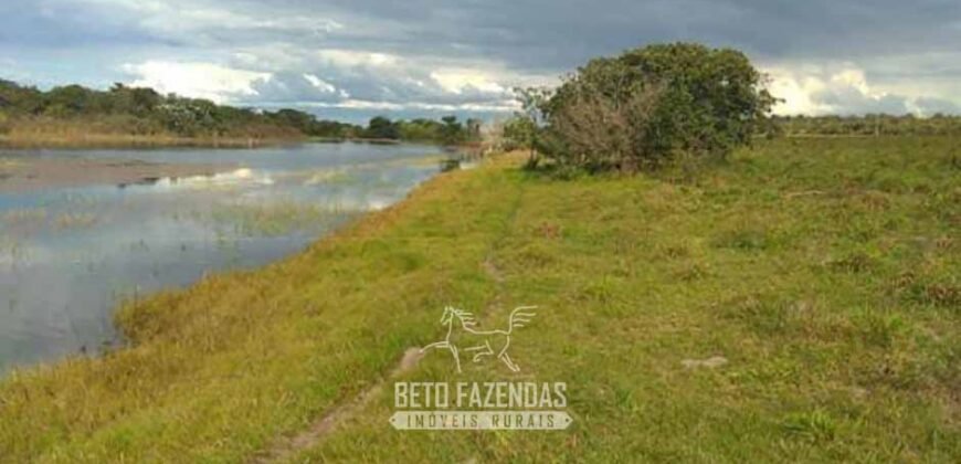 Fazenda à Venda 1.930 Hectares Potencial de Lavoura e Pecuária | Novo São Joaquim/ MT