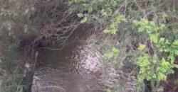 Fazendinha de Alta Eficiência 49 Alqueires Paulista | São Miguel Arcanjo/ SP