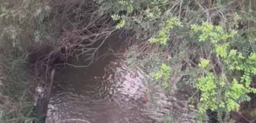 Fazendinha de Alta Eficiência 49 Alqueires Paulista | São Miguel Arcanjo/ SP