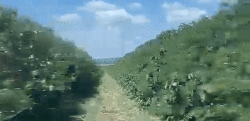 Fazenda à Venda de Café 640 Hectares Produção Industrial SUl de Minas | Região de Alfenas/ MG Fazenda à Venda de Café 640 Hectares Produção Industrial SUl de Minas | Região de Alfenas/ MG