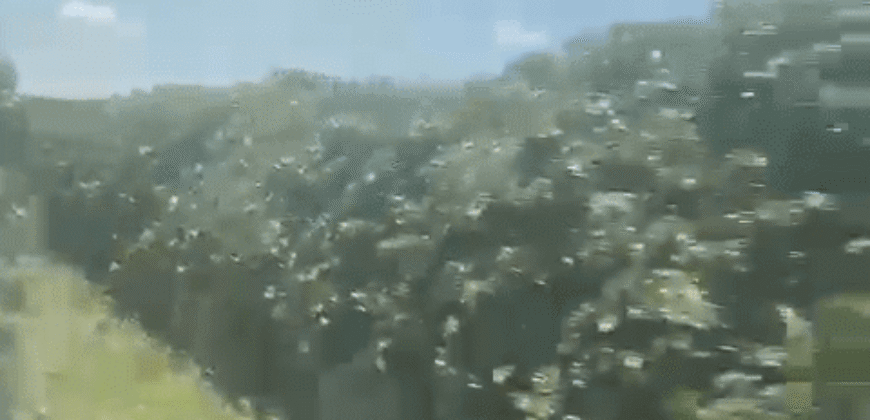 Fazenda à Venda de Café 640 Hectares Produção Industrial SUl de Minas | Região de Alfenas/ MG Fazenda à Venda de Café 640 Hectares Produção Industrial SUl de Minas | Região de Alfenas/ MG