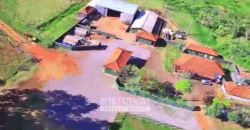 Fazenda à Venda 977 Hectares 90% Aproveitável Lavoura e Pecuária de Elite | Caiuá/SP