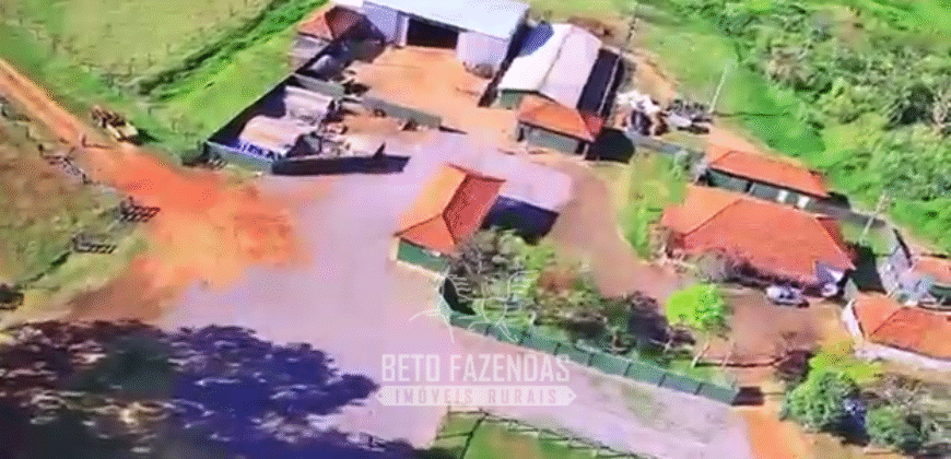 Fazenda à Venda 977 Hectares 90% Aproveitável Lavoura e Pecuária de Elite | Caiuá/SP