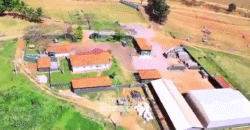 Fazenda à Venda 977 Hectares 90% Aproveitável Lavoura e Pecuária de Elite | Caiuá/SP