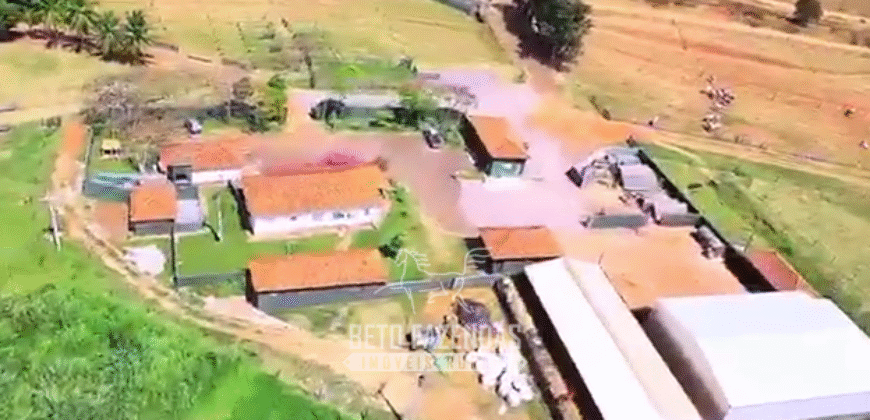 Fazenda à Venda 977 Hectares 90% Aproveitável Lavoura e Pecuária de Elite | Caiuá/SP