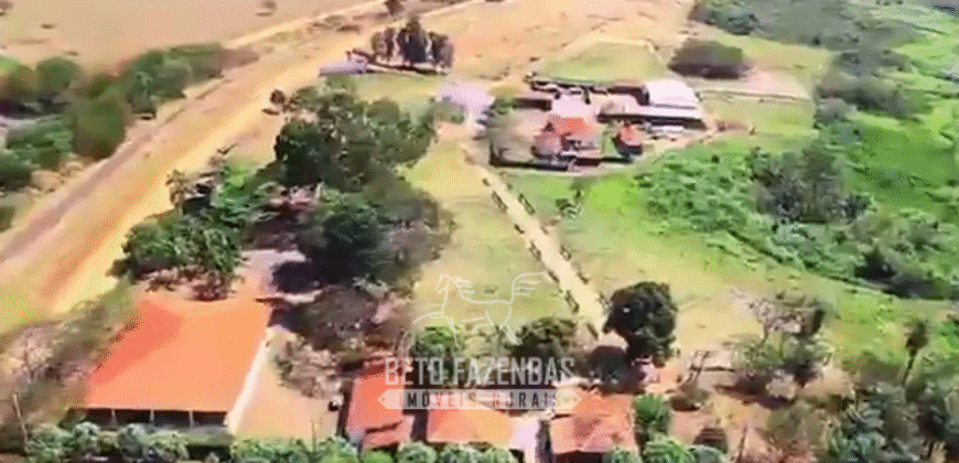 Fazenda à Venda 977 Hectares 90% Aproveitável Lavoura e Pecuária de Elite | Caiuá/SP