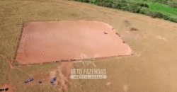 Fazenda à Venda 977 Hectares 90% Aproveitável Lavoura e Pecuária de Elite | Caiuá/SP
