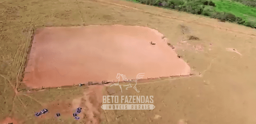 Fazenda à Venda 977 Hectares 90% Aproveitável Lavoura e Pecuária de Elite | Caiuá/SP