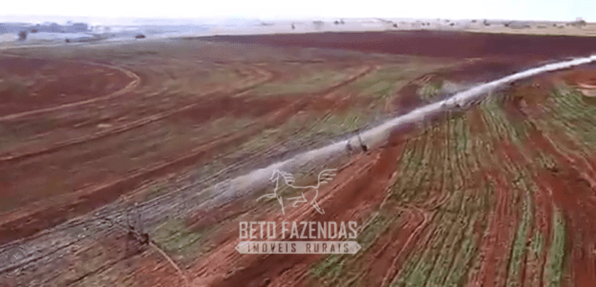 Fazenda à Venda 977 Hectares 90% Aproveitável Lavoura e Pecuária de Elite | Caiuá/SP