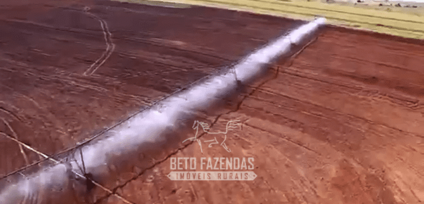 Fazenda à Venda 977 Hectares 90% Aproveitável Lavoura e Pecuária de Elite | Caiuá/SP