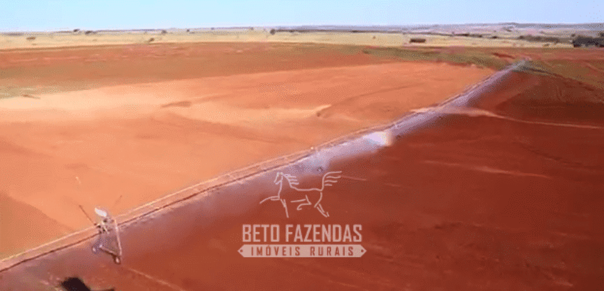 Fazenda à Venda 977 Hectares 90% Aproveitável Lavoura e Pecuária de Elite | Caiuá/SP