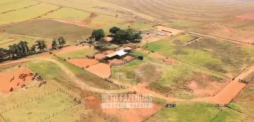 Fazenda à Venda 977 Hectares 90% Aproveitável Lavoura e Pecuária de Elite | Caiuá/SP