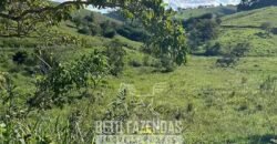 Sítio à Venda 19 Hectares para Pecuária em Muriaé/ MG