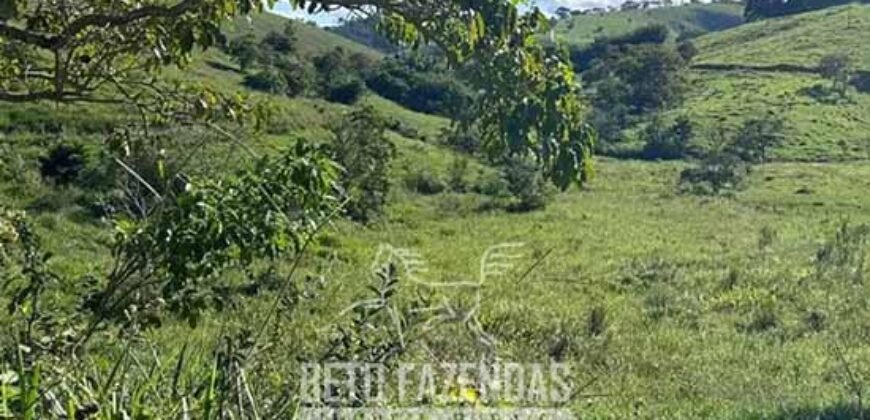 Sítio à Venda 19 Hectares para Pecuária em Muriaé/ MG