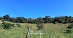 Sítio à Venda 19 Hectares para Pecuária em Muriaé/ MG