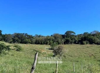 Sítio à Venda 19 Hectares para Pecuária em Muriaé/ MG Sítio à Venda 19 Hectares para Pecuária em Muriaé/ MG