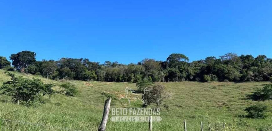 Sítio à Venda 19 Hectares para Pecuária em Muriaé/ MG
