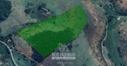 Sítio à Venda 19 Hectares para Pecuária em Muriaé/ MG