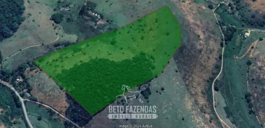 Sítio à Venda 19 Hectares para Pecuária em Muriaé/ MG