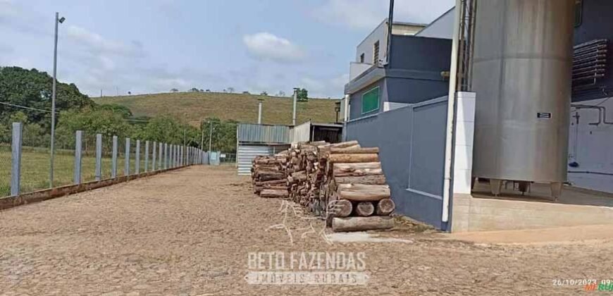 Venda de Laticício com 5 mil m² Alto Faturamento Toda Infraestrutura em Minas Gerais Venda de Laticício com 5 mil m² Alto Faturamento Toda Infraestrutura em Minas Gerais