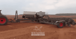 Mega Fazenda Agroindustrial 23.167 Hectares Pista de Pouso na Região de Balsas/MA