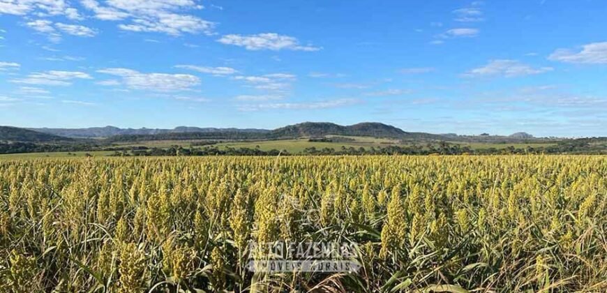 Fazenda à Venda 11.942 Hectares Completa e Certificação de Exportação Pecuária | Caiapônia/GO