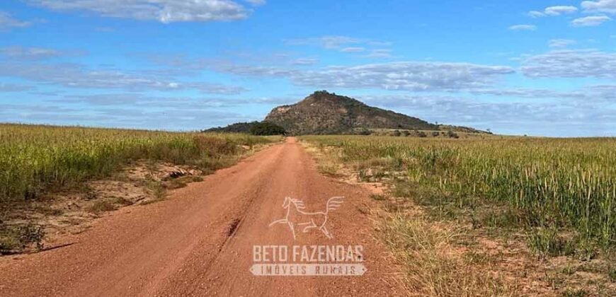Fazenda à Venda 11.942 Hectares Completa e Certificação de Exportação Pecuária | Caiapônia/GO