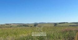 Fazenda à Venda 11.942 Hectares Completa e Certificação de Exportação Pecuária | Caiapônia/GO