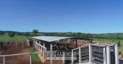 Fazenda à Venda 11.942 Hectares Completa e Certificação de Exportação Pecuária | Caiapônia/GO