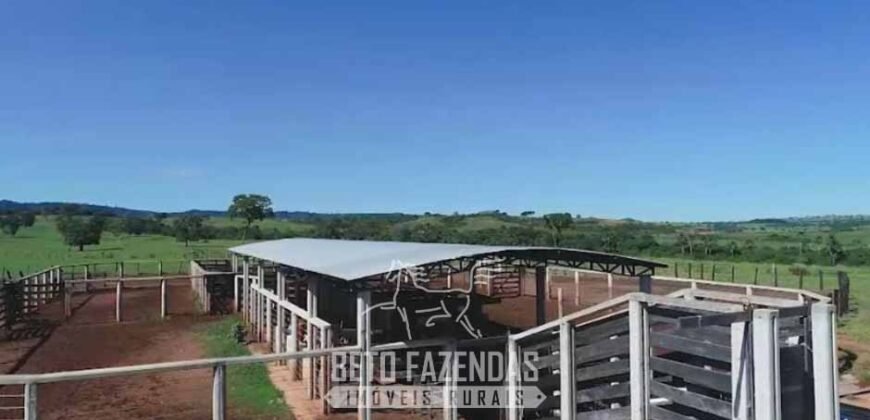 Fazenda à Venda 11.942 Hectares Completa e Certificação de Exportação Pecuária | Caiapônia/GO