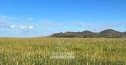Fazenda à Venda 11.942 Hectares Completa e Certificação de Exportação Pecuária | Caiapônia/GO