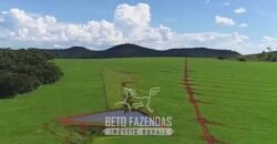 Fazenda à Venda 11.942 Hectares Completa e Certificação de Exportação Pecuária | Caiapônia/GO