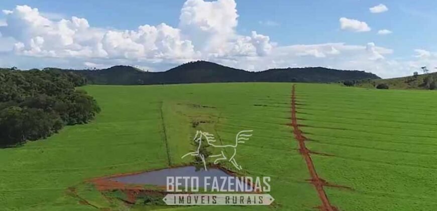 Fazenda à Venda 11.942 Hectares Completa e Certificação de Exportação Pecuária | Caiapônia/GO