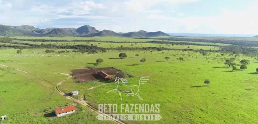 Fazenda à Venda 11.942 Hectares Completa e Certificação de Exportação Pecuária | Caiapônia/GO
