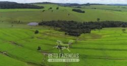 Fazenda à Venda 11.942 Hectares Completa e Certificação de Exportação Pecuária | Caiapônia/GO