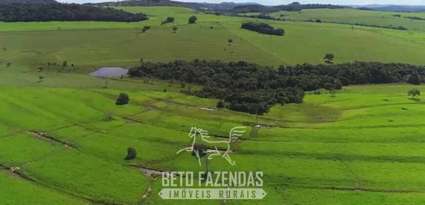Fazenda à Venda 11.942 Hectares Completa e Certificação de Exportação Pecuária | Caiapônia/GO