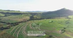 Fazenda à Venda 11.942 Hectares Completa e Certificação de Exportação Pecuária | Caiapônia/GO