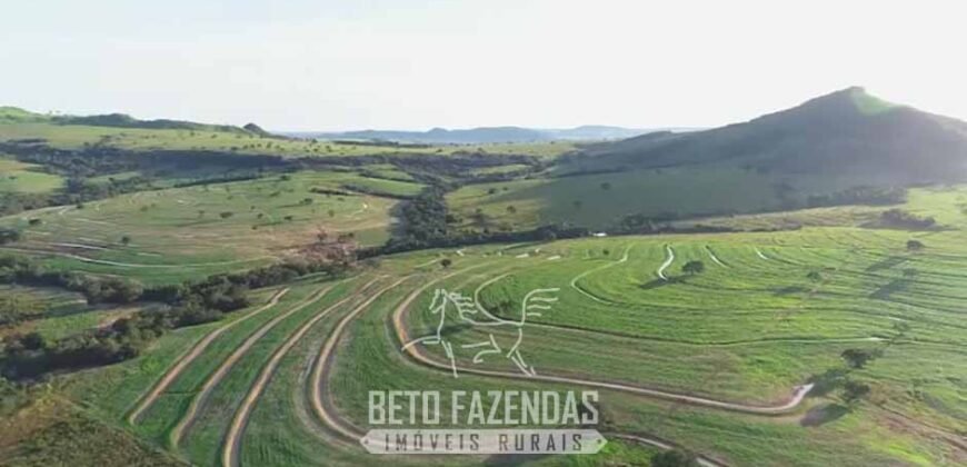 Fazenda à Venda 11.942 Hectares Completa e Certificação de Exportação Pecuária | Caiapônia/GO