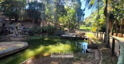 Fazenda à Venda 286 hectares Histórica e Produtiva Pecuária e Alambique | Sumidouro/ RJ