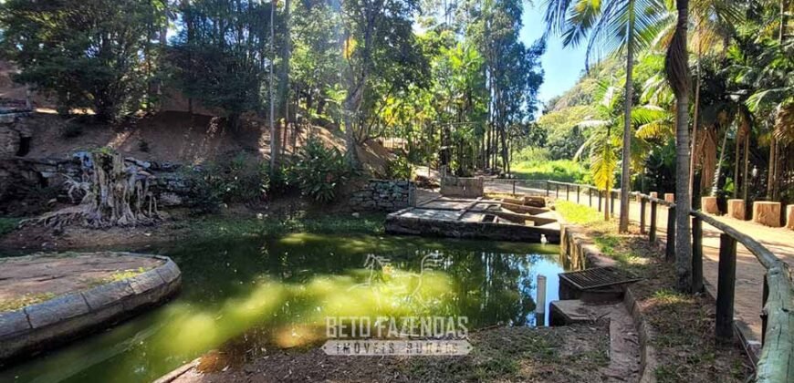 Fazenda à Venda 286 hectares Histórica e Produtiva Pecuária e Alambique | Sumidouro/ RJ