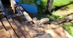 Fazenda à Venda 286 hectares Histórica e Produtiva Pecuária e Alambique | Sumidouro/ RJ