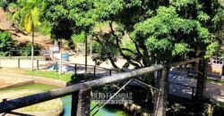 Fazenda à Venda 286 hectares Histórica e Produtiva Pecuária e Alambique | Sumidouro/ RJ